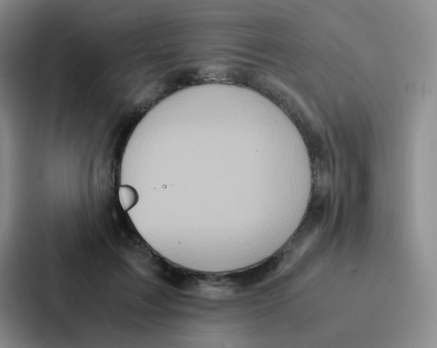 X0000086920603200705141724