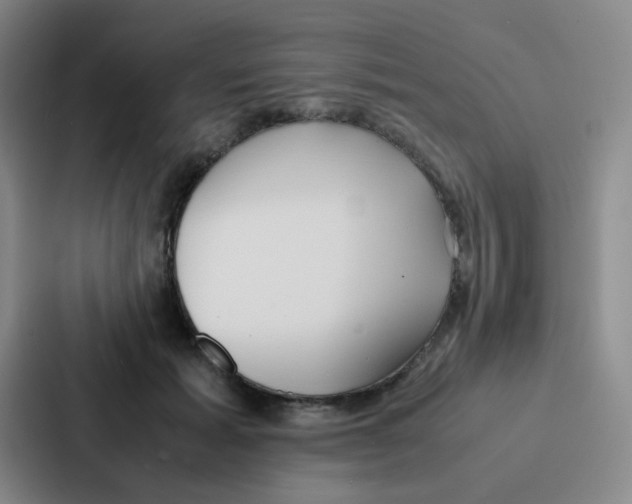 X0000086920605200705141724