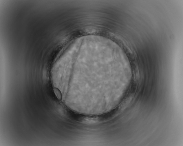 X0000086920606200705141724
