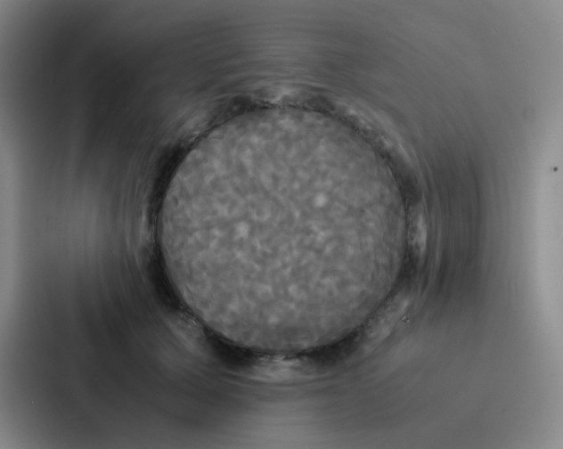 X0000086920607200705141724