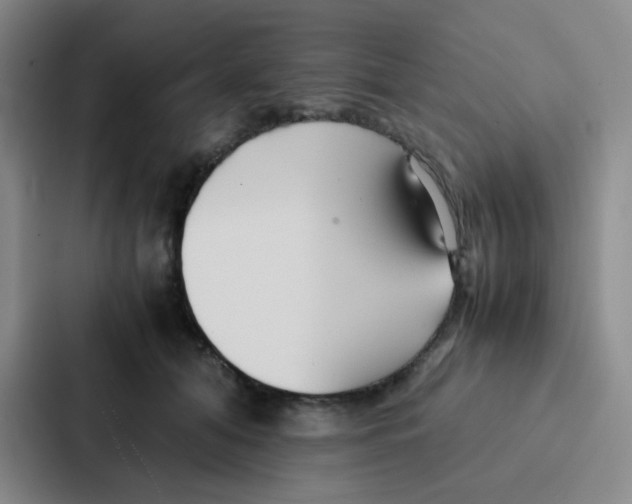 X0000086920608200705141724