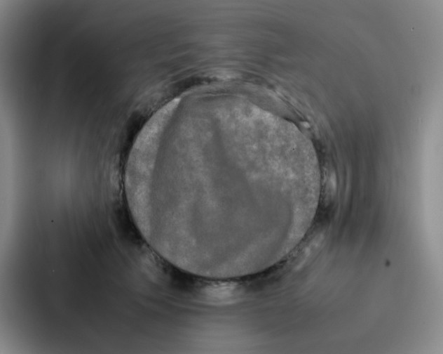 X0000086920609200705141724