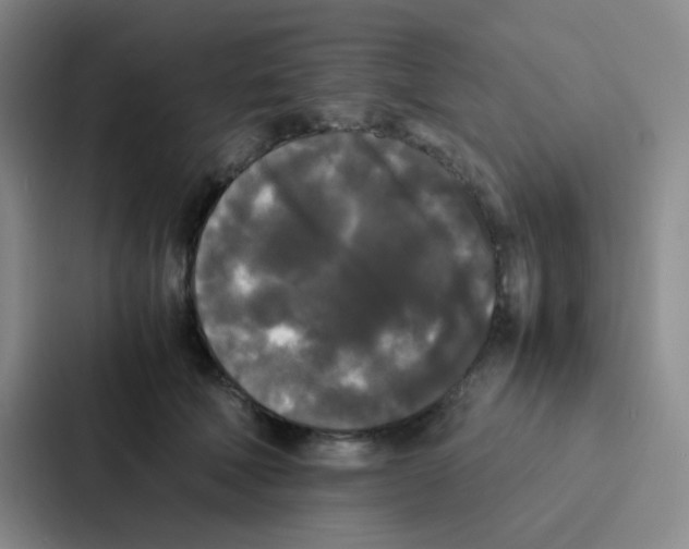 X0000086920610200705141724