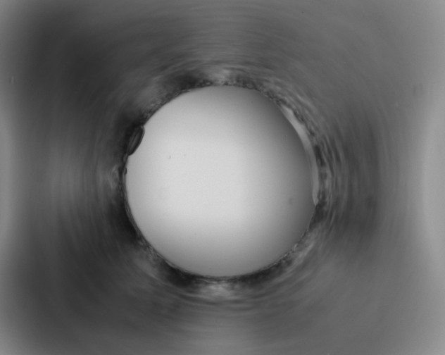 X0000086920611200705141724