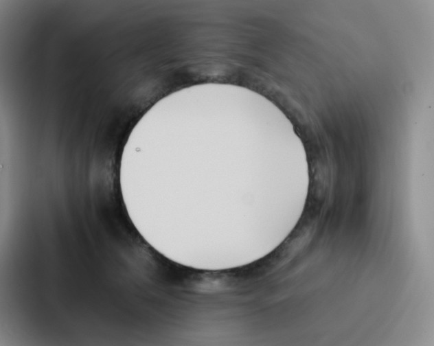 X0000086920612200705141724