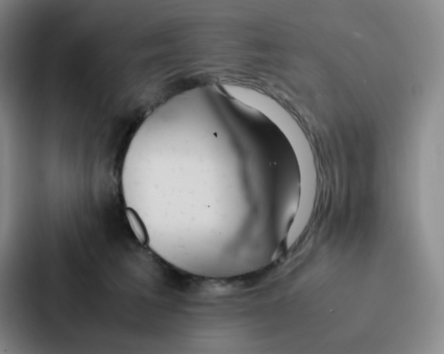 X0000086920613200705141724