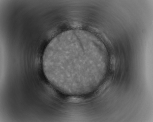 X0000086920614200705141724