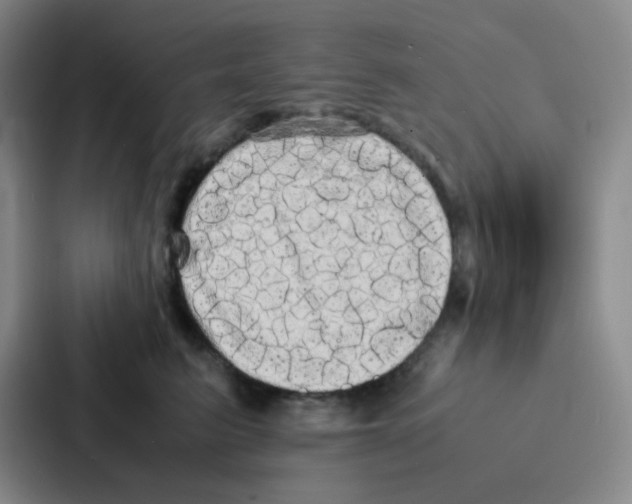 X0000086920615200705141724