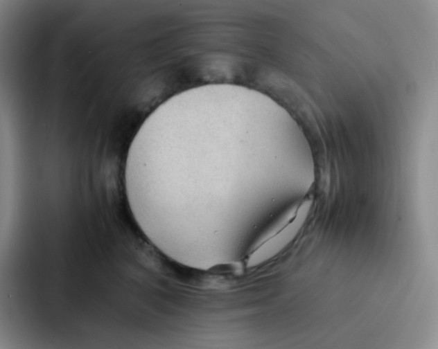X0000086920616200705141724