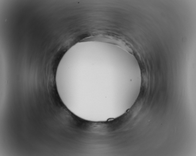 X0000086920617200705141723