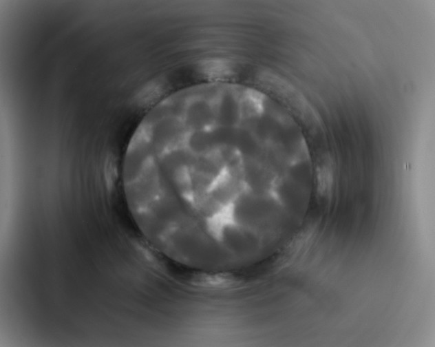 X0000086920618200705141723