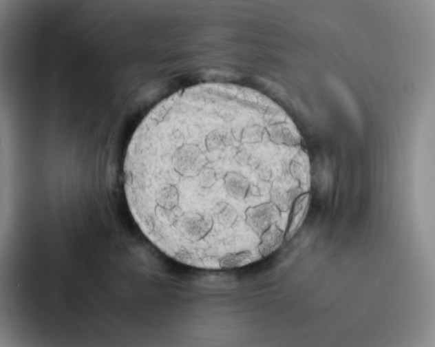 X0000086920619200705141723