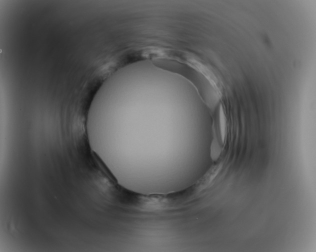 X0000086920621200705141723