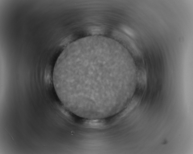 X0000086920622200705141723