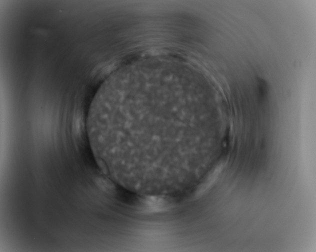 X0000086920623200705141723