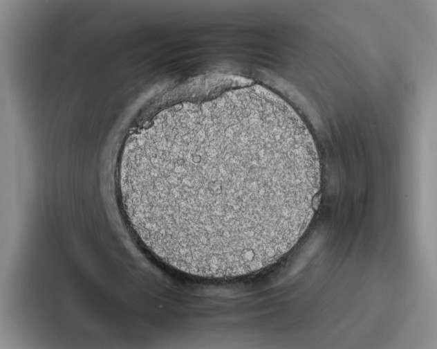 X0000086920625200705141723