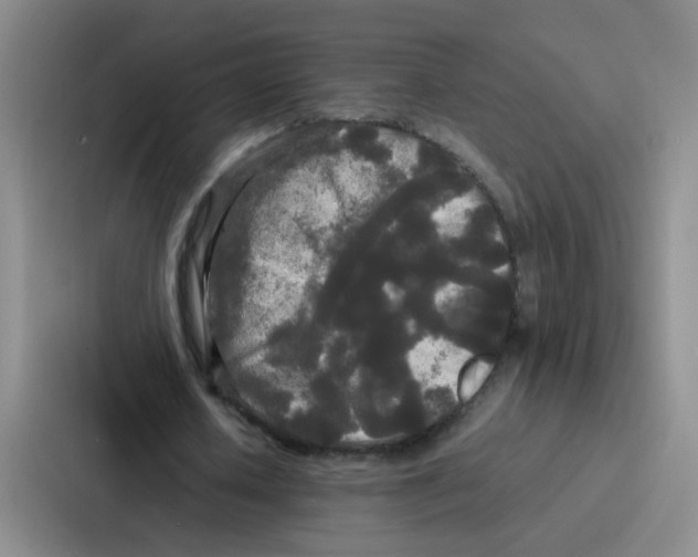 X0000086920626200705141723