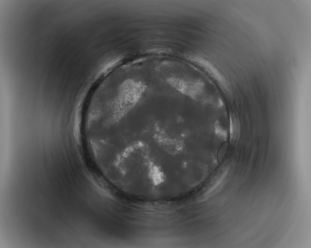X0000086920627200705141723