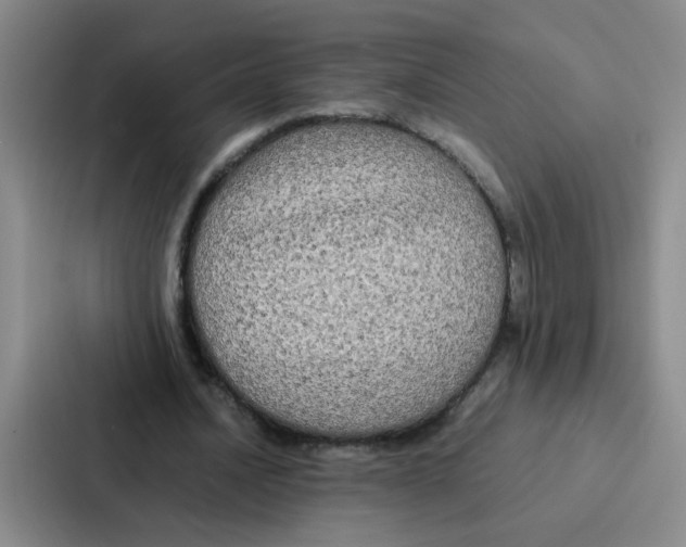 X0000086920628200705141723