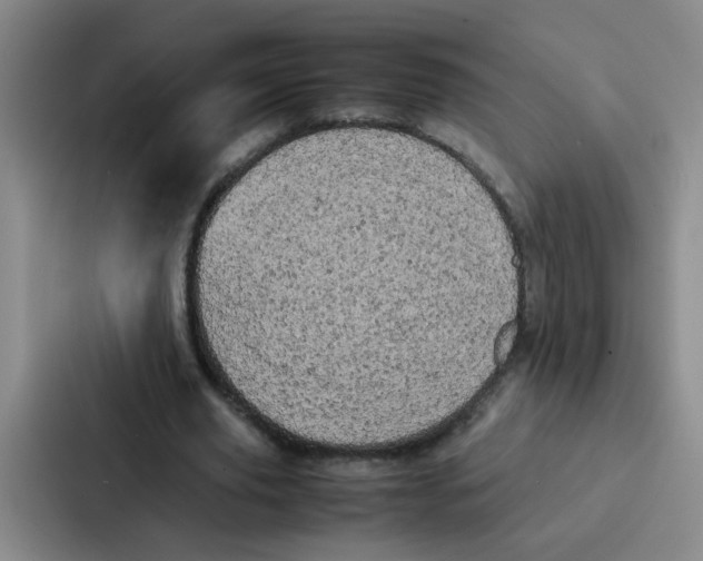 X0000086920629200705141723