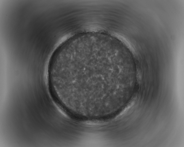 X0000086920630200705141723