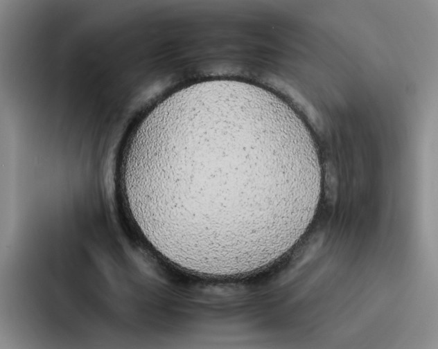 X0000086920631200705141723
