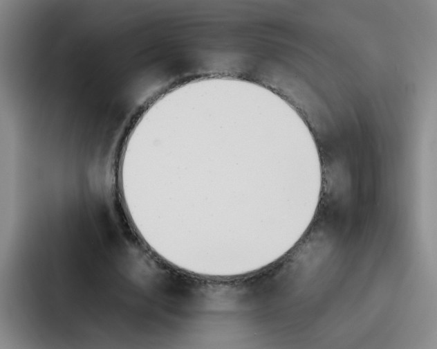 X0000086920632200705141723