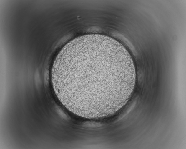 X0000086920633200705141723