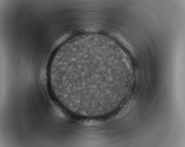 X0000086920634200705141723