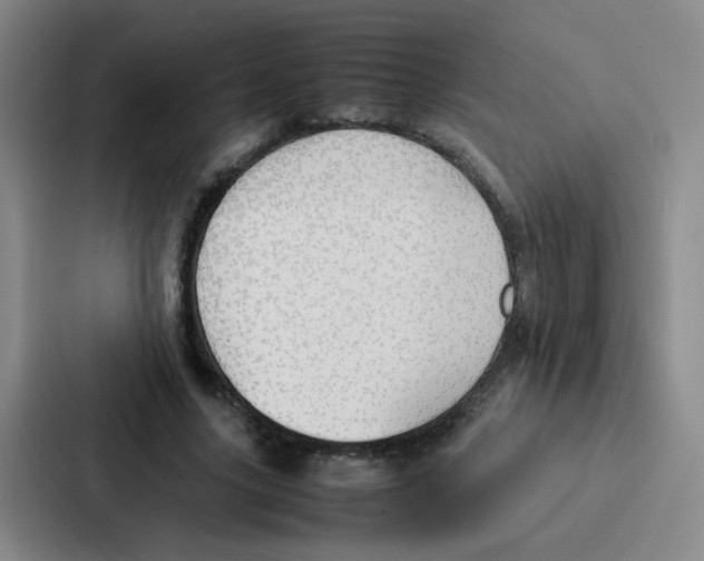 X0000086920635200705141723