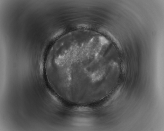 X0000086920637200705141723