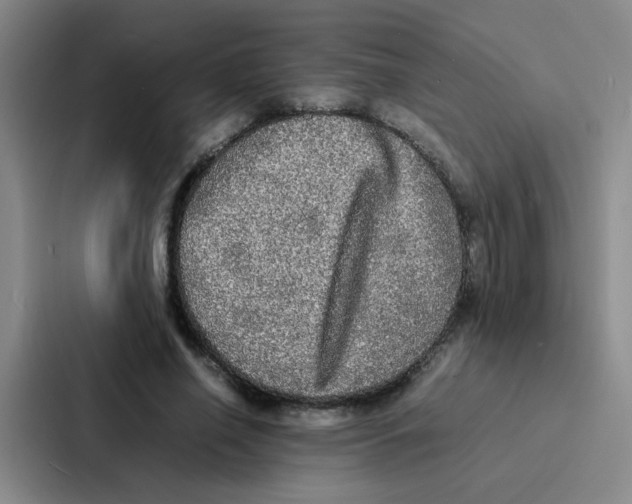 X0000086920638200705141723