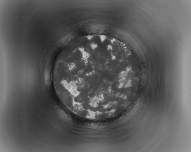 X0000086920641200705141723