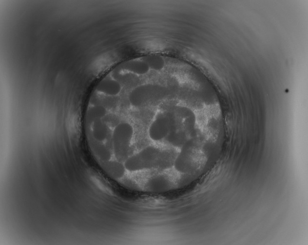 X0000086920642200705141723