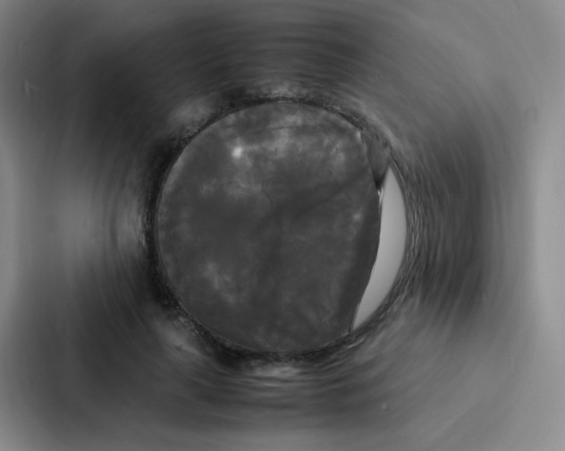 X0000086920643200705141723