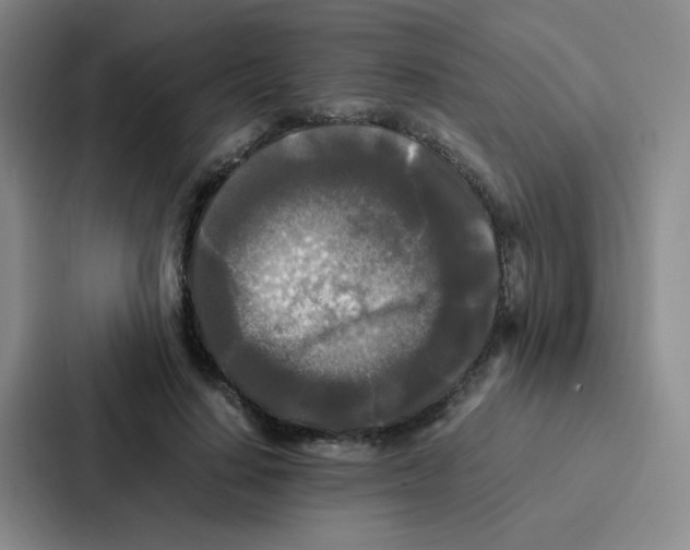 X0000086920644200705141723