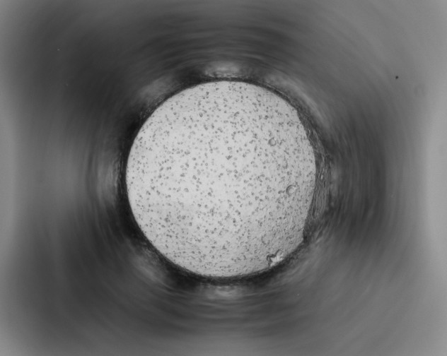 X0000086920645200705141723