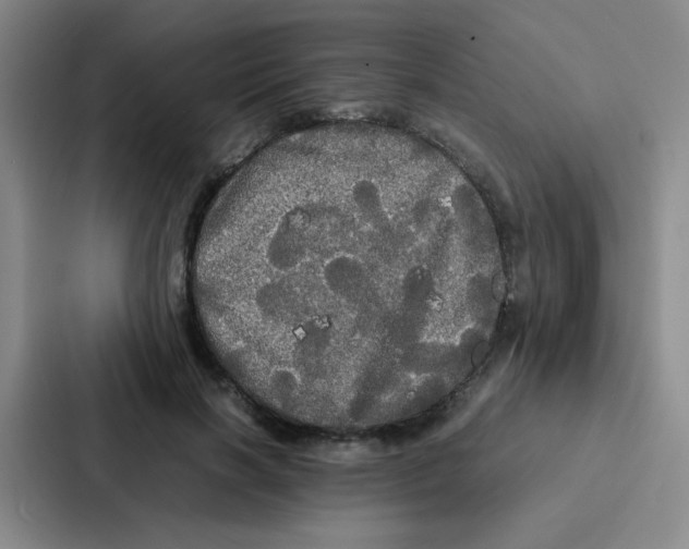 X0000086920646200705141723