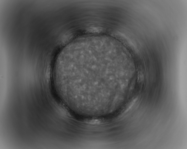 X0000086920647200705141723