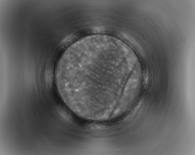 X0000086920648200705141723