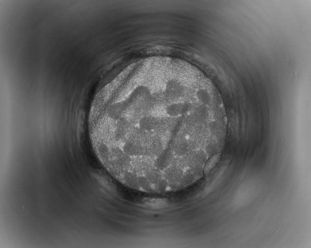 X0000086920649200705141723