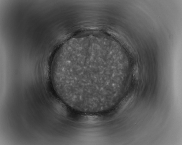 X0000086920650200705141723