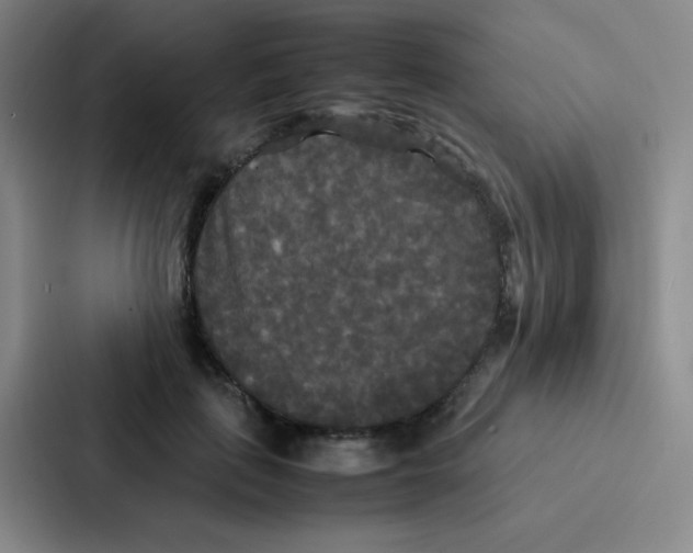 X0000086920651200705141723