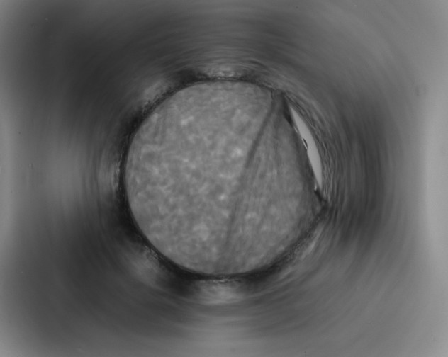 X0000086920652200705141723