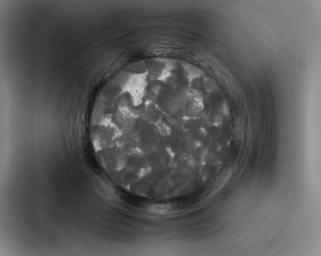 X0000086920653200705141723