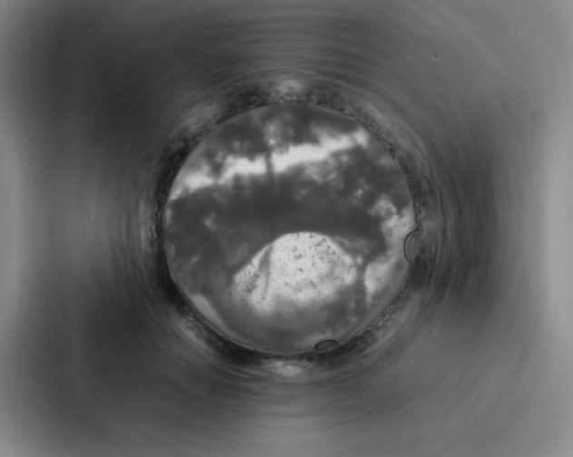 X0000086920654200705141723