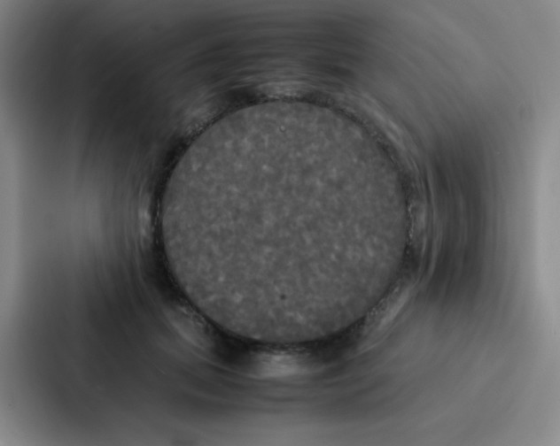 X0000086920655200705141723