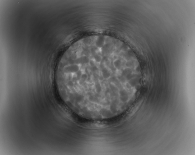 X0000086920656200705141723