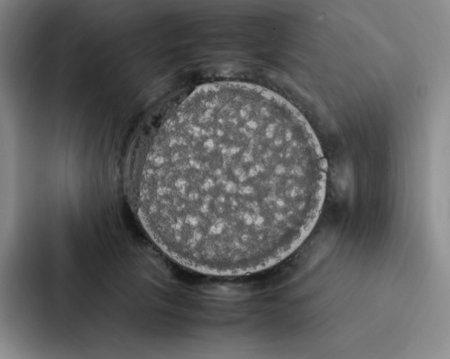 X0000086920657200705141723