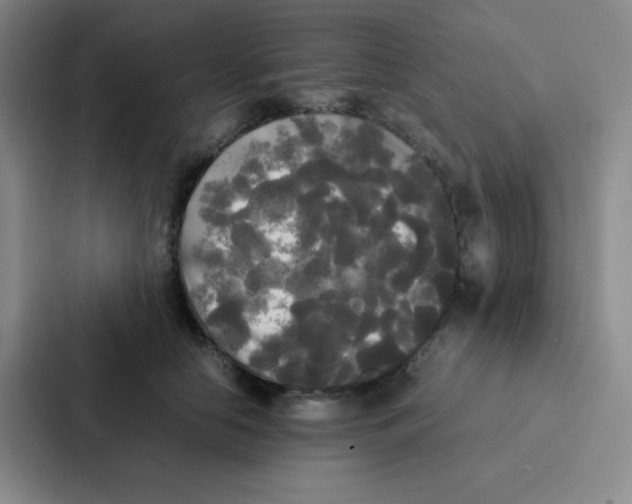 X0000086920658200705141723